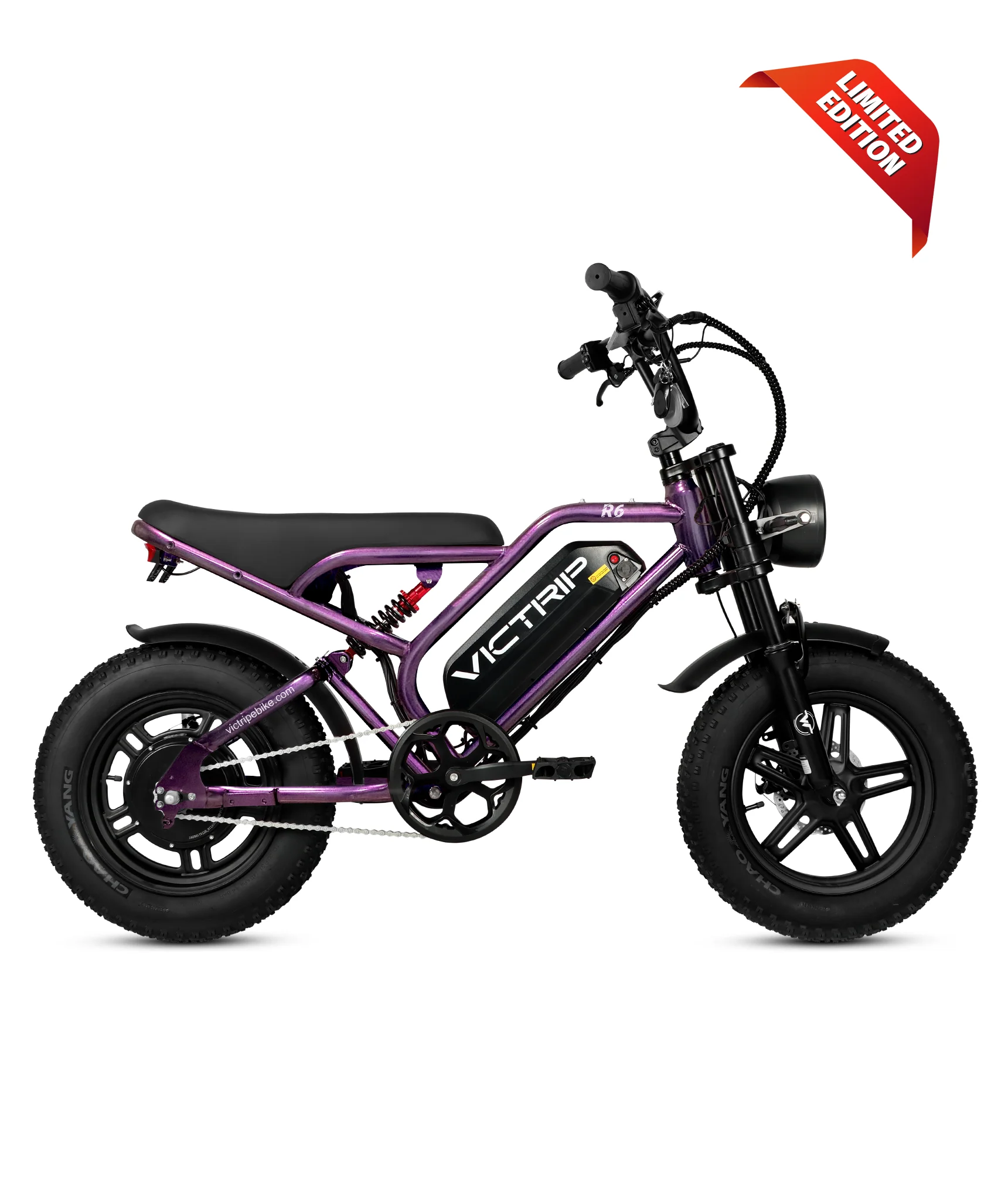 VICTRIP ®R6 Electric Off Road Bike - Image 16