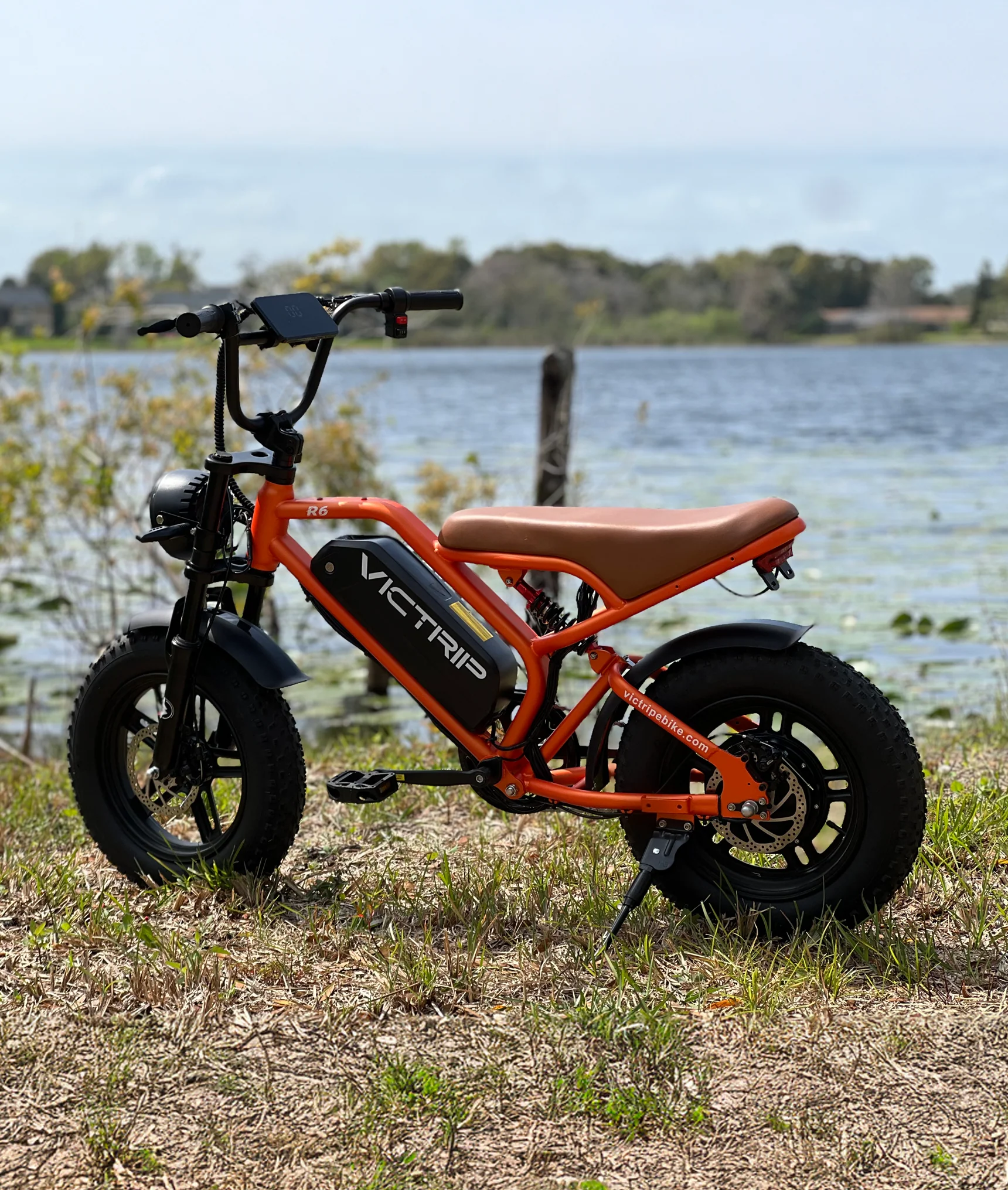 VICTRIP®R6 Off Road Ebike - Image 21